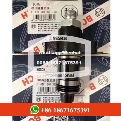 Bosch CB18 high-pressure plunger pump F019D01303